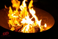 20230705_NAIDOC-5